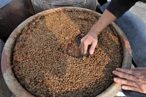 Paraguay suspende cultivo de soja por tres meses