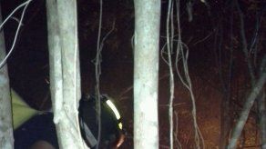 Bomberos intentan extinguir un incendio de masa vegetal en Howard