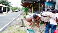 Panamá registra 2,720 casos de dengue y 8 muertes Panamá registra 2,720 casos de dengue y 8 muertes