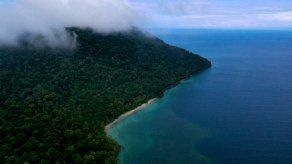 Batalla ambiental agita las aguas en la isla colombiana de Gorgona