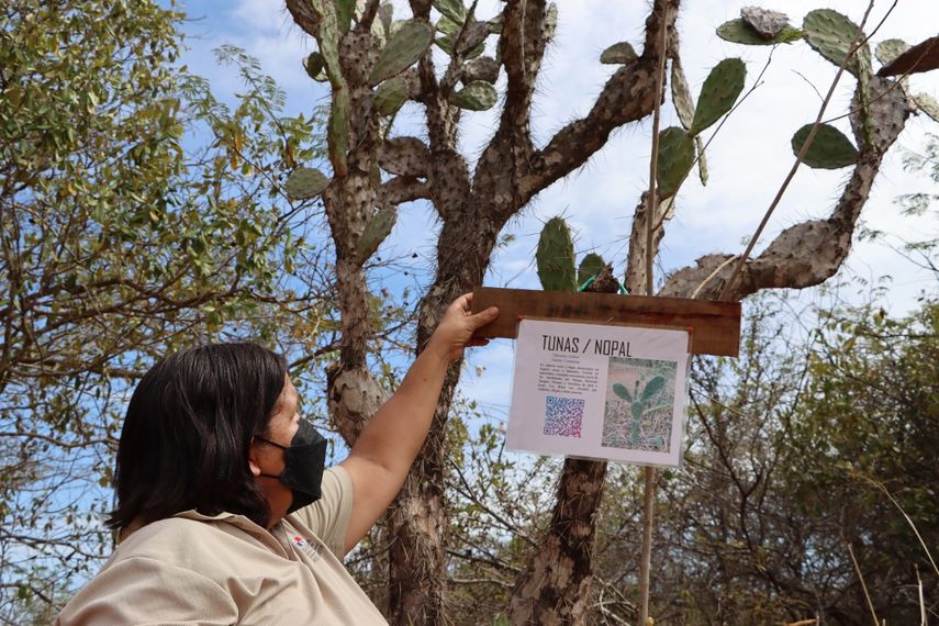Los códigos QR serán instalados primeramente en el sendero hacia el Conchero