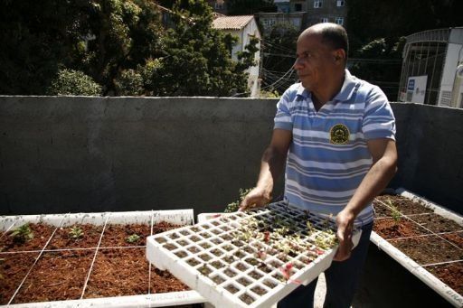 Alimentos orgánicos brotan en los tejados de una favela de Río