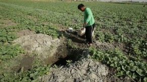 Sequía en Filipinas causa 7,8 millones de euros en pérdidas en la agricultura