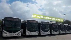 Mi Bus anuncia la reincorporación de 450 buses a su flota.