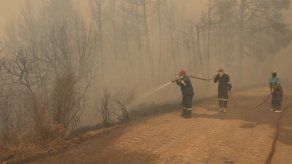 Cuerpo a cuerpo de los bomberos contra el devastador incendio en la isla griega de Eubea