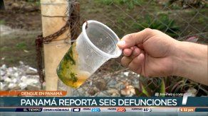 Panamá reporta seis defunciones por dengue en lo que va del año