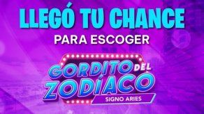 Lotería Nacional de Panamá: ¿Cuándo juega el próximo Gordito del Zodíaco?