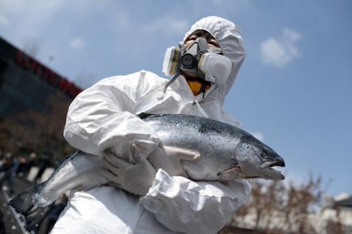 Trescientas personas intoxicadas en Holanda y EEUU por salmón