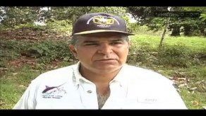 Video: Bernal recomienda investigar error de Mulino