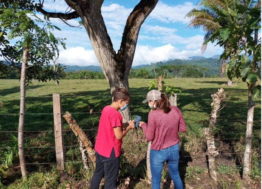 Los bosques secundarios remueven en promedio 4.9 toneladas de dióxido de carbono por hectáreas por año.