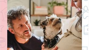 Beneficios de la convivencia de una mascota y una embarazada