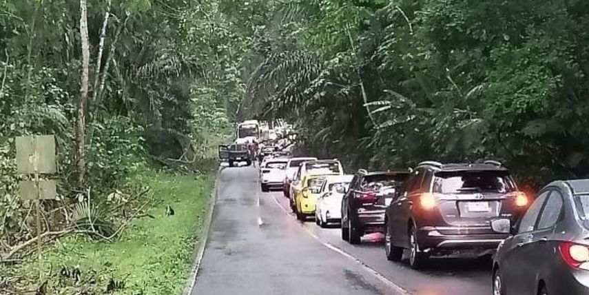 &nbsp;Avenida Forestal será arreglada por el MOP.