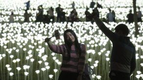 Un jardín de luz llega a Hong Kong para San Valentín