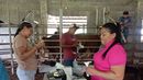 MIDA impulsa el mejoramiento genético del ganado. MIDA impulsa el mejoramiento genético del ganado.