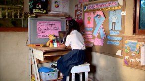 Este año se ha la plataforma Ester le dará acceso a todos los estudiantes.