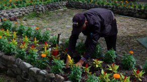 Avanzan preparativos de la Feria de las Flores y del Café en Boquete