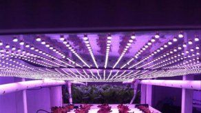 Panamá será sede del Congreso de Agricultura en Ambiente Controlado Panamá será sede del Congreso de Agricultura en Ambiente Controlado