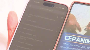 CEPANIM 2026: opciones de registro.