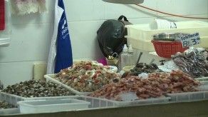 Vendedores del Mercado de Mariscos aseguran que no ha habido incremento en los precios