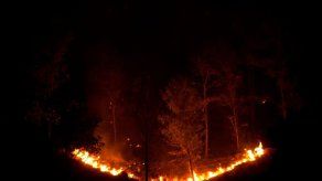 Incendio forestal afecta zona montañosa dominicana