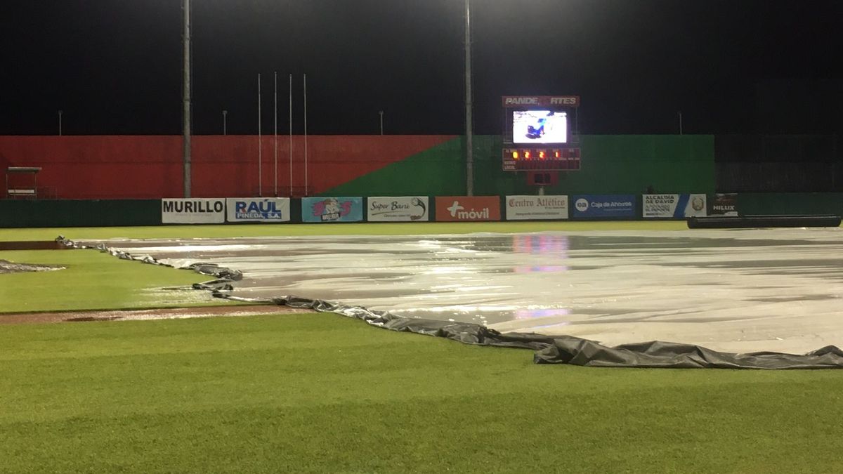 Béisbol Mayor 2024: FEDEBEIS&nbsp;