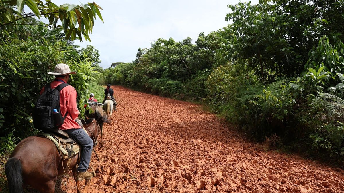 Canal de Panamá adjudica construcción de carreteras