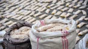 En Siria y el Líbano se han incautado píldoras de anfetamina con el nombre comercial de  Captagon por un valor de más de 3.000 millones de dólares desde febrero de 2020.