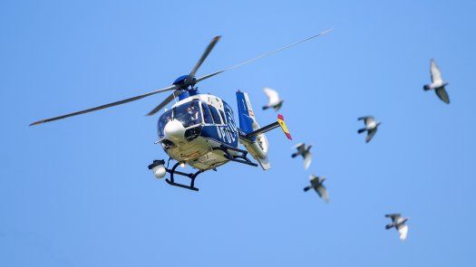 Encuentran en Florida aeronave desaparecida Encuentran en Florida aeronave desaparecida