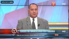 Más de cien animales han sido sacrificados por brucelosis en Panamá Más de cien animales han sido sacrificados por brucelosis en Panamá