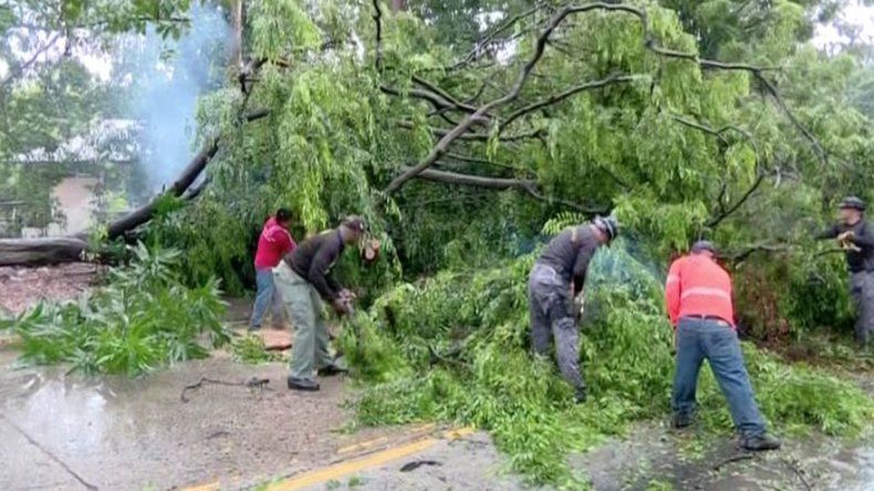 Caída de árboles e inundaciones producto de las lluvias