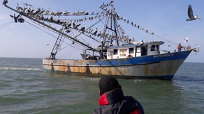 Pescadores rechazan Decreto Ejecutivo N° 14 del 20 de noviembre del 2024.
