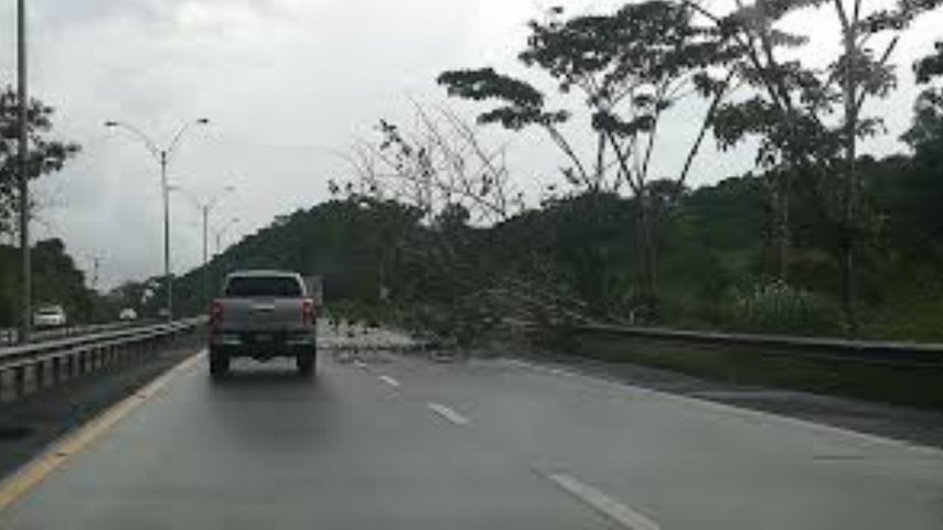 Desde el 15 de septiembre el IDAAN instalará tuberías en la Vía Centenario