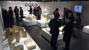 Los mejores arquitectos muestran sus casas para perros en Tokio