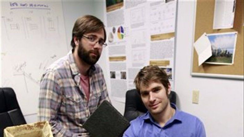 Los hongos también sirven de material de empaque