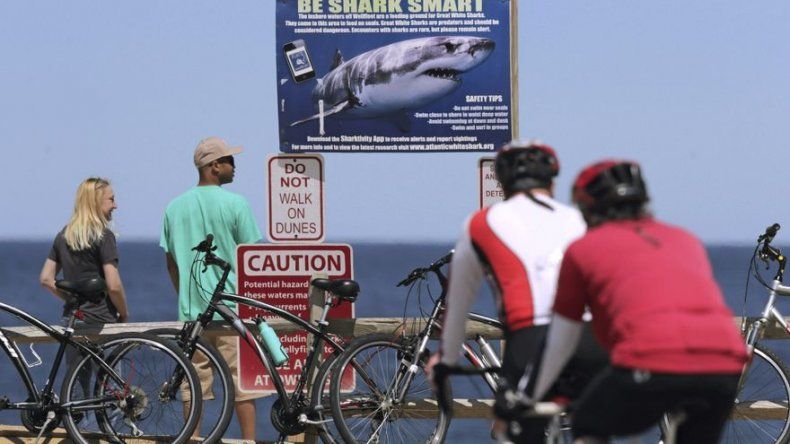 Cape Cod tiene un verano de tiburones, tornados e impuestos