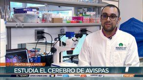 Mentes Brillantes: Armando Castillo