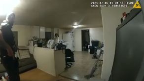 Mujer es asesinada por agente en el estado de Illinois tras un llamado de emergencia