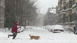 Washington sigue semiparalizada por la nieve