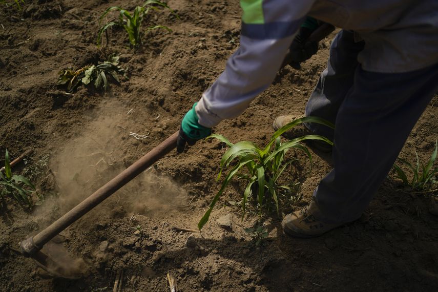 Al margen de las políticas oficiales