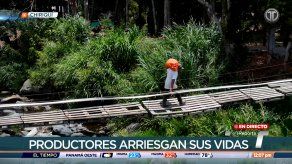 Moradores de Cerro Punta y Paso Ancho arriesgan sus vidas a diario al cruzar puente colgante