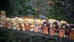 Madre de pistolero mantenía vida familiar en reserva