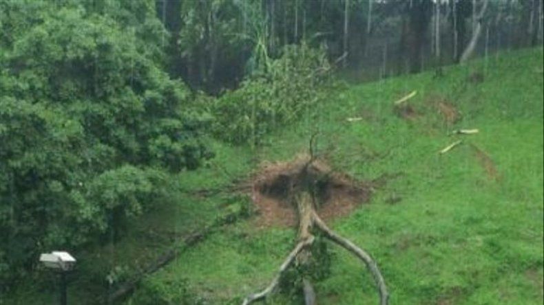 Afectaciones por fuerte lluvia y vientos en Panamá Centro y Este
