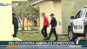 Imputan cargos a hombre que supuestamente mató a un perro en Bugaba