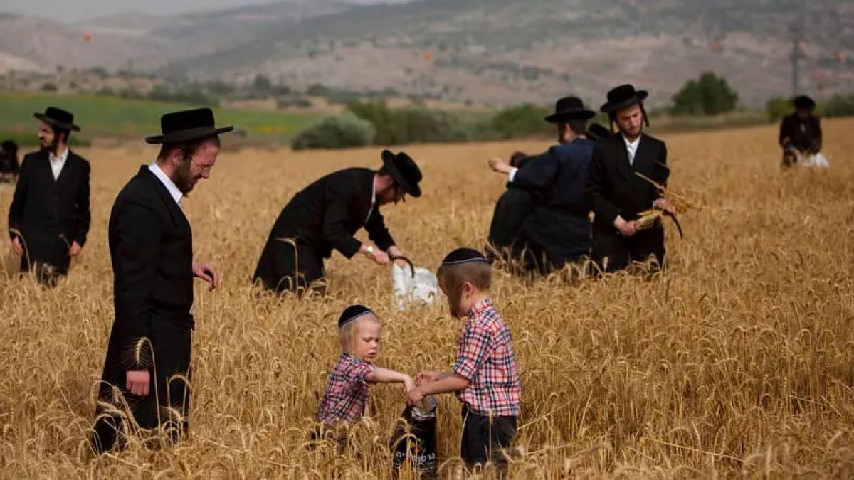 Día libre, Pentecostés y Shavuot: ¿De qué trata la fiesta judía?