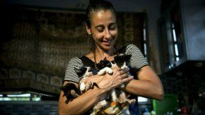 Cuba autoriza marcha de un grupo defensor de animales