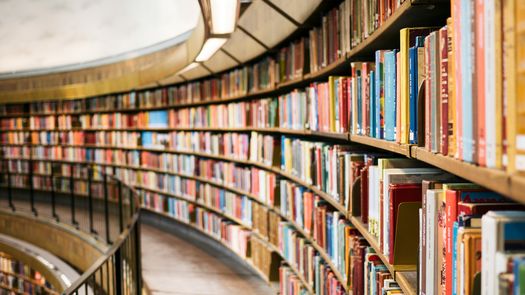 Día Mundial del Libro. Día Mundial del Libro.