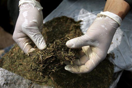 El 51% de los estadounidenses, favorables a la legalización de marihuana