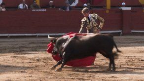 Entre fanáticos y detractores