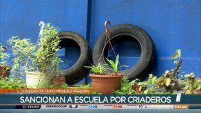 Colegio Octavio Méndez Pereira fue sancionado por criaderos de mosquitos