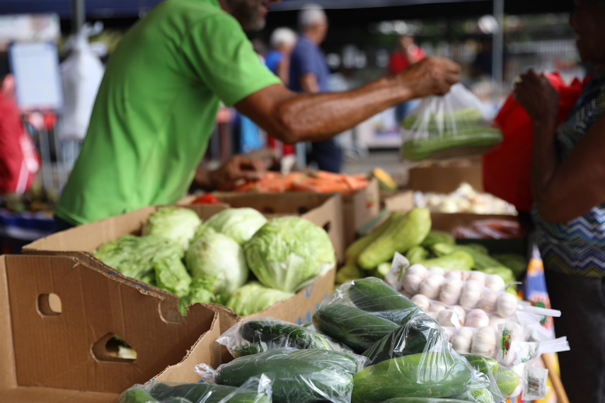 Calendario de Agroferias en Panamá.&nbsp;